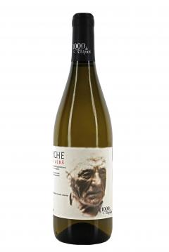 Vin alb - Iordache - Feteasca Alba, sec, 2022