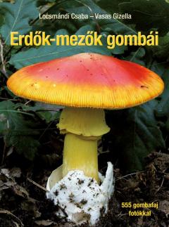 Erdok-mezok gombai