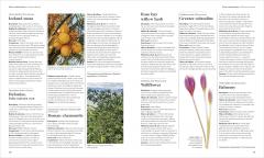 Encyclopedia of Herbal Medicine