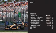 Formula 1 Drive to Survive - The Unofficial Companion