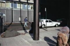 The Pleasure of Seeing