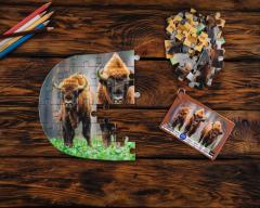 Puzzle 3x50 piese - Oda pentru animale din Romania