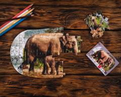 Puzzle 3x50 piese - Oda pentru Animale pe cale de disparitie din Asia