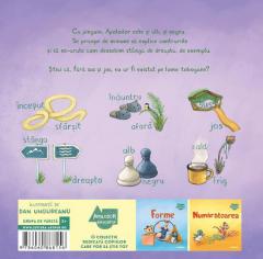 Apolodor educator. Contrarii