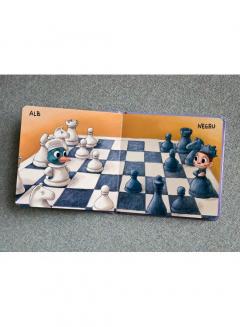 Apolodor educator. Contrarii