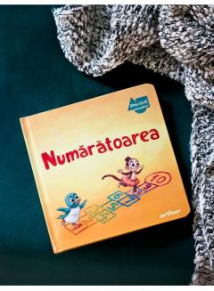 Apolodor educator. Numaratoarea