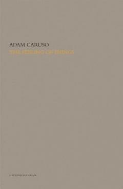 The Feeling Of Things: Writings On Architecture