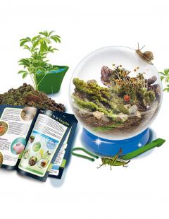 Joc - Experimentele micului geniu - Habitate si ecosisteme