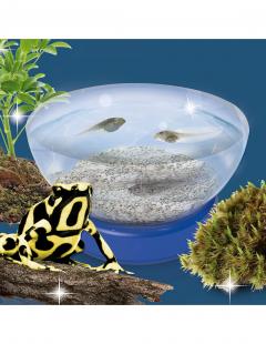 Joc - Experimentele micului geniu - Habitate si ecosisteme