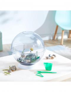 Joc - Experimentele micului geniu - Habitate si ecosisteme