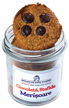 Biscuti de ovaz cu ciocolata, stafide si merisoare