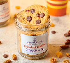 Biscuti de ovaz cu ciocolata, stafide si merisoare