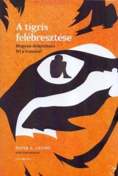 A tigris felebresztese