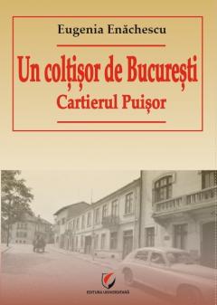 Un coltisor de Bucuresti - Cartierul Puisor