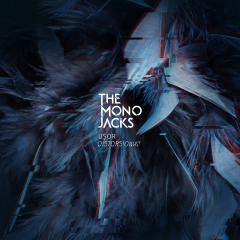 Usor distorsionat - Vinyl