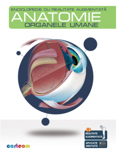 Anatomie - Organele Umane