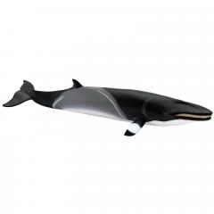 Figurina - Balena Minke