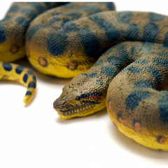 Figurina - Anaconda verde