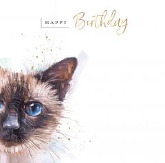 Felicitare - Bday Gen - A Purr-fect Day