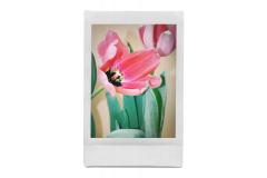 Set aparat foto instant si lentile - Lomo’Instant - Explorer Edition Combo