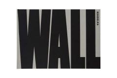 Josef Koudelka: Wall - Israeli & Palestinian Landscape 2008-2012