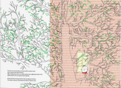 Cand acasa nu mai e acasa