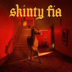 Skinty Fia - Vinyl (45 RPM)