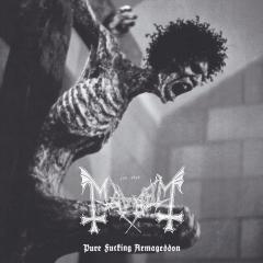 Pure Fucking Armageddon (6xPicture Vinyl+DVD)