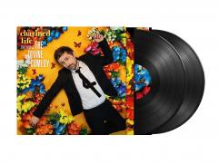 Charmed Life (The Best Of The Divine Comedy) - Vinyl