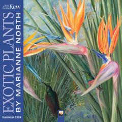 Calendar 2024 - Kew Gardens: Marianne North Wall Calendar