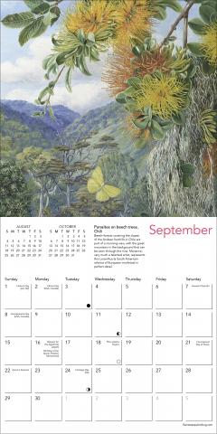 Calendar 2024 - Kew Gardens: Exotic Plants by Marianne North - Mini