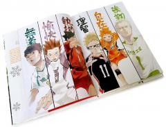 The Art of Haikyu!! Endings and Beginnings