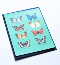 Felicitare - Fluturi in plic albastru inchis