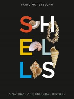 Shells