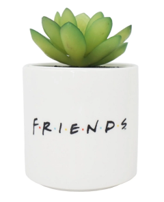 Ghiveci plante - Friends - Central Perk