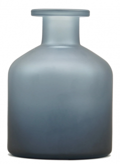 Vaza - Harry Potter - Potion - Proud Ravenclaw