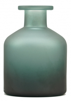 Vaza - Harry Potter - Potion - Proud Slytherin