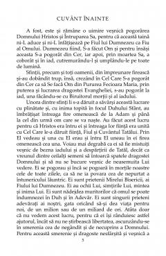 Sunt ocrotitorul celor deznadajduiti