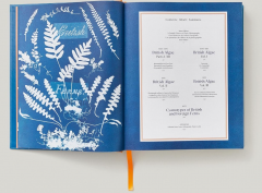 Anna Atkins. Cyanotypes