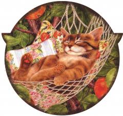 Suport pentru farfurie - Window Color Box Meow - mai multe modele