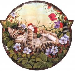 Suport pentru farfurie - Window Color Box Meow - mai multe modele