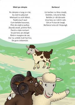 Animal. Versuri adunate, rime minunate