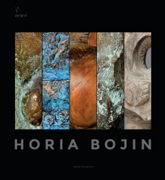 Horia Bojin