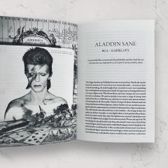 David Bowie Rainbowman  - 1967-1980