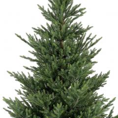 Brad artificial - Norway Spruce