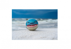 Minge saritoare pe apa - Waboba - Rechin