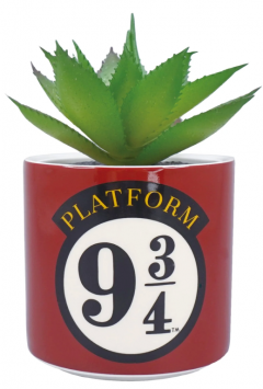 Planta decorativa - Harry Potter - Platform 9