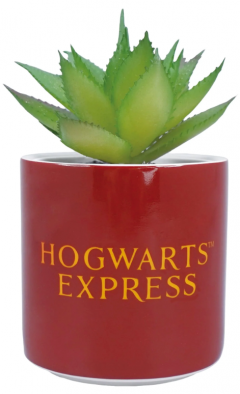 Planta decorativa - Harry Potter - Platform 9