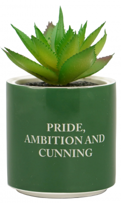 Planta decorativa - Harry Potter - Slytherin