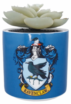 Planta decorativa - Harry Potter - Ravenclaw